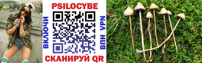 Псилоцибиновые грибы Magic Shrooms  наркотики  Калининск 