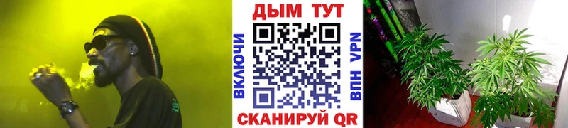 Марихуана ГИДРОПОН Калининск